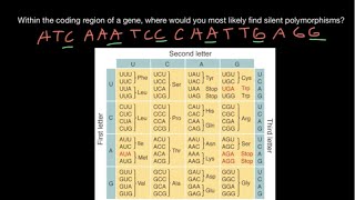 Silent synonymous mutations of a gene explained [upl. by Trent165]