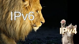 IPv6 Addresses Explained [upl. by Tepper457]