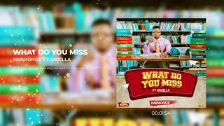 Harmonize ft Anjella  What Do You Miss Official Audio [upl. by Jorie]