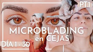 💉👁️ MICROBLADING de CEJAS Proceso completo  Día 1 al 30  Cuidados precio avance día a día [upl. by Aihtebat]