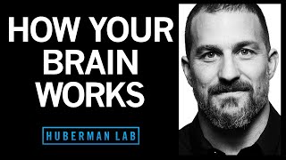 How Your Brain Works amp Changes [upl. by Osnofledi]