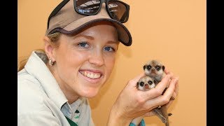 International Zookeeper Day interview with Courtney [upl. by Braca]