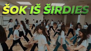 ŠOK IŠ ŠIRDIES flashmob  ŠOKIO DIENA [upl. by Astraea]