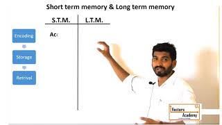 MA Psychology Short term amp Long term memory [upl. by Balf]