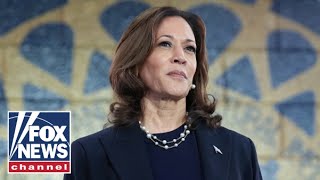 NO PATH FOR HARRIS Losing key voting bloc could spell doom for Dems Michigan Republican warns [upl. by Drofdeb]