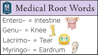 Medical Terminology Root Words MADE EASY Nursing Students Coding Classes [upl. by Aristotle]