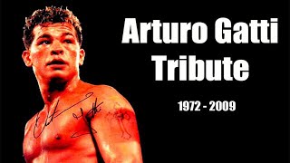 Arturo Gatti Highlights amp Knockouts  The Thunder Tribute [upl. by Treblig257]