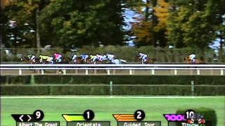 2001 Breeders Cup Classic [upl. by Cloots624]