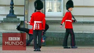 La estrepitosa caída de un guardia frente al palacio de Buckingham [upl. by Buchanan]