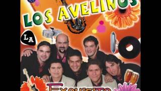 Los Avelinos  El Verdulero [upl. by Heater]