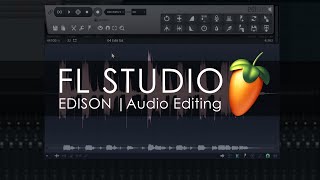 EDISON  Audio Editing Introduction [upl. by Esmerelda288]