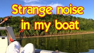 Strange noise in my boat Could it be drum fish [upl. by Elleiand]