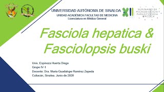 10 Fasciola hepatica y Fasciolopsis buski [upl. by Ahcsropal]