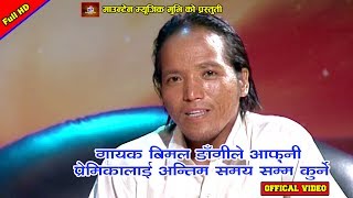 Bimal Dangi Live Song [upl. by Thissa]