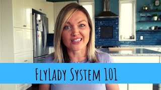 Flylady Crash Course  How The Whole System Works [upl. by Ezechiel]