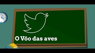 Como as aves voam Ciência Explica [upl. by Narrad449]