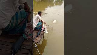 Nice fish fishing [upl. by Neerhtak]