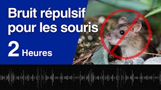 Bruit haute fréquence pour repousser les souris [upl. by Nino]