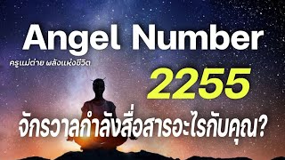 Angel Number 2255 จักรวาลกำลังสื่อสารอะไรกับคุณข้อความจักรวาลสัญญาณทูตสวรรค์ครูแม่ต่าย พลังชีวิต [upl. by Yelnikcm442]