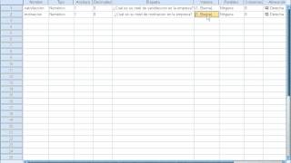 SPSS Llenar datos de una encuesta [upl. by Arundel]