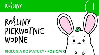 Rośliny 1  Rośliny pierwotnie wodne krasnorosty i zielenice  biologia do matury [upl. by Eirrek]