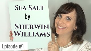 Sherwin Williams Sea Salt Paint Colour Review [upl. by Aztilay]