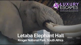 Letaba Elephant Hall Kruger National Park South Africa [upl. by Keyek]