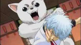 Gintama AMV Diabeetus [upl. by Udale]