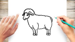 How to Draw a Sheep Step by Step [upl. by Canter120]