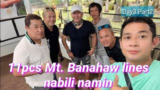 EP440 Day 3 Part 2 bumili kami ng 11 Mt Banahaw GF bloodlines na mga manok [upl. by Lucey]