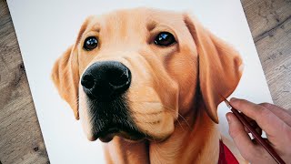 How to Draw a Realistic Dog  Art Tutorial [upl. by Lesirg]