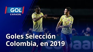 ¡Los regalos de la Selección Colombia en 2019 Estos fueron todos los goles de la ‘tricolor’ [upl. by Antoinetta]