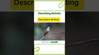 How to describe different animals English writing englishlanguagelearning creativewriting [upl. by Akihsar]