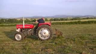 Massey Ferguson 148 amp MF 727 Subsoiler [upl. by Nodnorb]