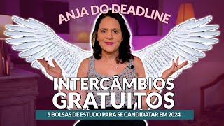 Como fazer intercâmbio gratuito em 2024 curso de inglês nos EUA phd e mais  Partiu Intercâmbio [upl. by Karlie28]