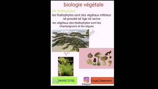 biologie végétale thallophytes épisode 1  darija [upl. by Nerta]