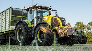 2021  Grass Silage by Sunset  Claas Axion 150000  Pleizier amp Timmer [upl. by Astrix9]