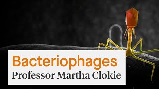 Bacteriophages Is medicine going viral [upl. by Venator]