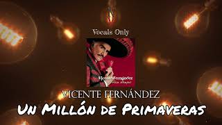 Un Millón de Primaveras  Vocals Only Acapella  Vicente Fernández [upl. by Naerad]