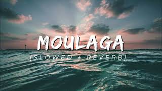 MOULAGA SLOWED  REVERB [upl. by Glanti519]