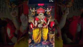 Ganpati Bappa Visarjan 2k24🙏🥹। dhamtaricity gkvlogs ganpatibappamorya dhamtari shortvideo [upl. by Pickering]