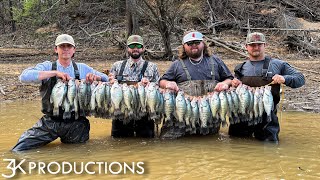 5 Limits Without Moving Our Feet  Wading For Mississippi Crappie [upl. by Tonya]