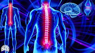 528hz Super Recovery Healing Frequency Whole Body RegenerationCell Nerve Damage Repair Healing [upl. by Legir]