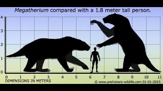 The Megatherium [upl. by Tarttan]