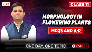 MCQs and AR  Morphology in Flowering Plants  class 11  Biology  One Day One Topic [upl. by Alfonzo74]