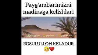 Rosululloh keladur [upl. by Lauree]