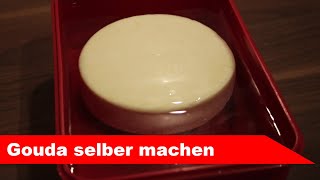 🧀 Gouda selber machen 🧀 holländischer Schnittkäse  Alles Käse [upl. by Ettevroc]