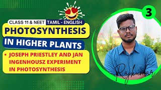 Joseph Priestley and Jan Ingenhousz Experiment  Photosynthesis in Higher Plants in Tamil 3 [upl. by Joelly]