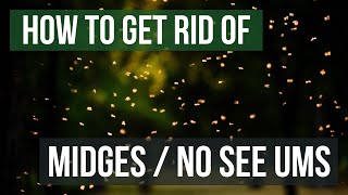 How to Get Rid of Midges Biting MidgesNo See Ums [upl. by Nichola]