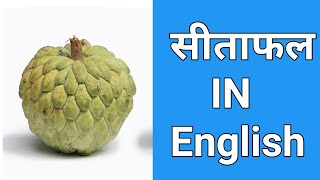 सीताफल in English  Sitafal ko english me kya kahate hain  sitafal in english [upl. by Onairelav]